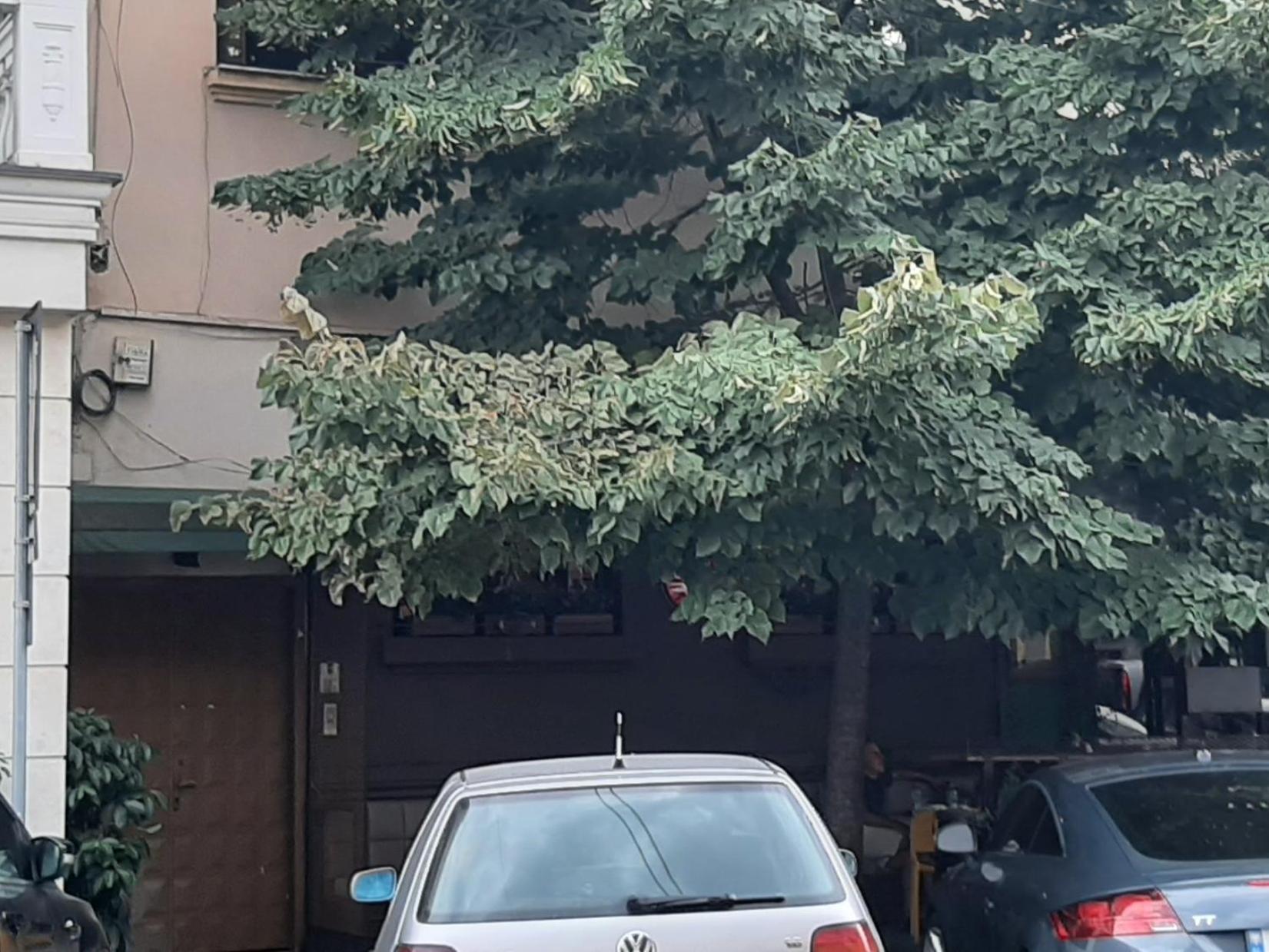 Yes Apartment Tirana Cameră foto